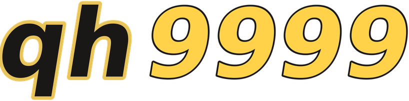 qh9999 logo